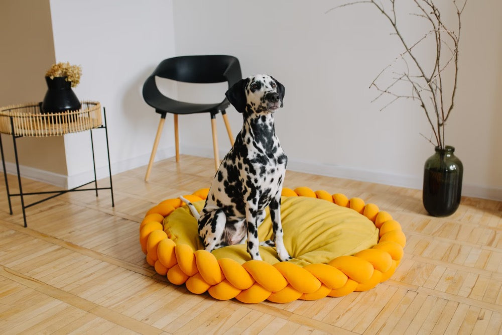 Large custom dog bed