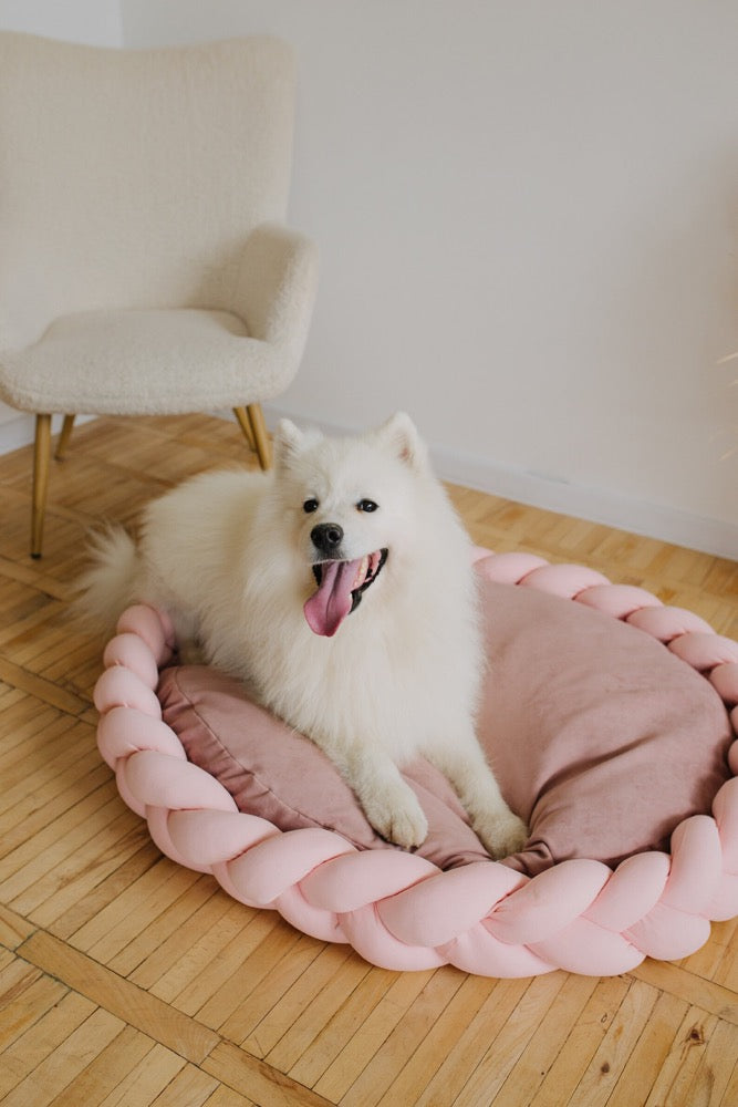 Large custom dog bed