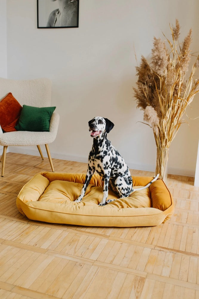 Custom dog bed Mustard bed for dog Floor bed for dog Pet furniture Modern Velvet dog bed