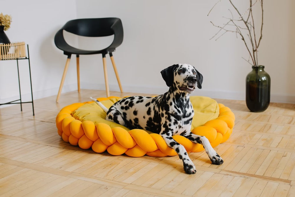 Large custom dog bed
